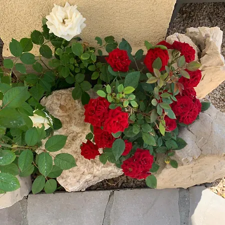 Apartment Evamar, Island Krk